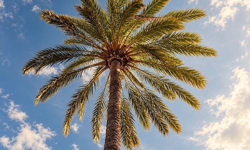 gallery-img-11