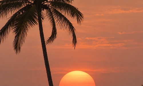gallery-img-13