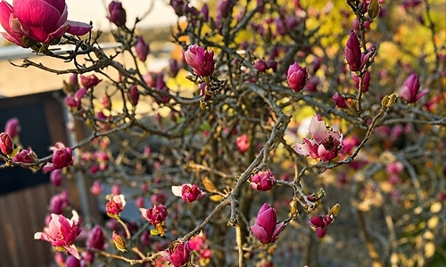 gallery-img-14
