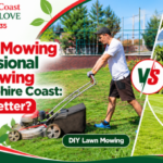 DIY Lawn Mowing vs Professional Lawn Mowing