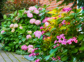 Tidy maintained garden after a clean-up