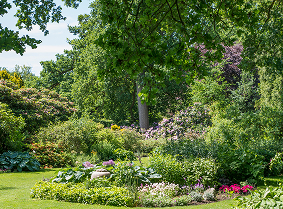 Neatly maintained garden and hedges