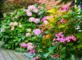 Gardener maintaining a Bega property