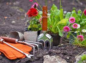 Gardener maintaining an Eden property
