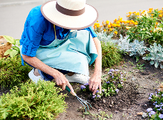 Gardener maintaining a flower bed
