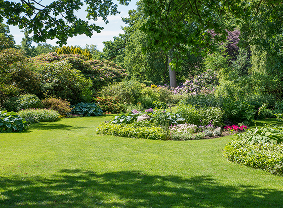 Gardener maintaining a Tathra property