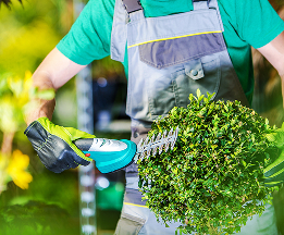 Professional garden maintenance work