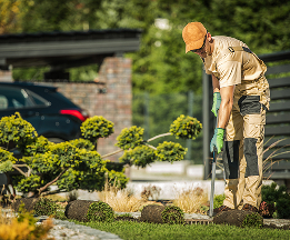 Gardener caring for a garden bed