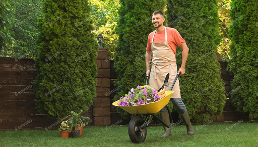 Seasonal lawn care in Bega