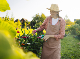 Gardener caring for a garden bed