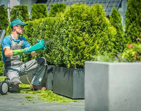 Professional hedge and garden maintenance in Merimbula
