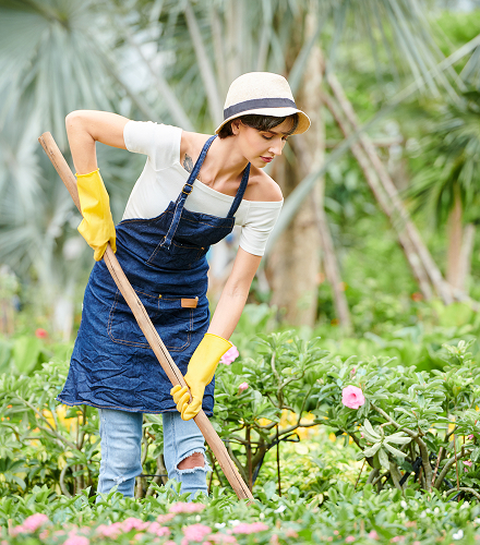 Garden clean-up and maintenance service