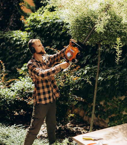 Hedge trimming and garden maintenance service