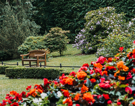 Professional lawn mowing service in Tathra