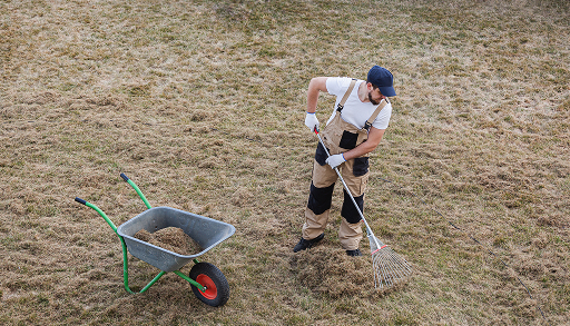 Sapphire Coast Garden Love team completing garden work