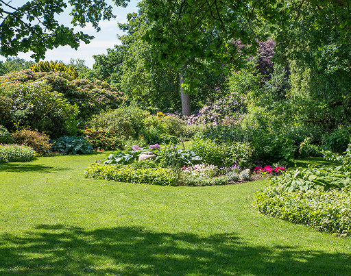 Professional lawn mowing service in Bega