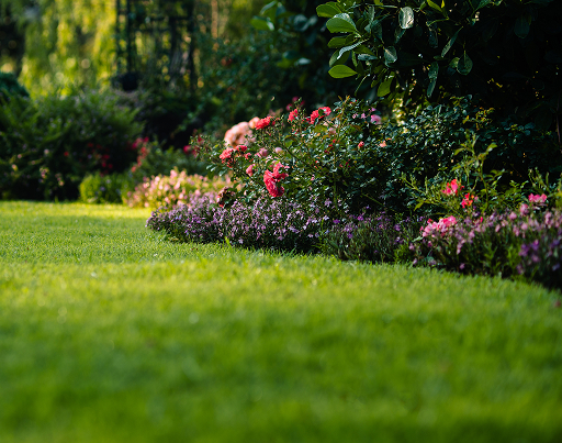Professional lawn mowing service in Eden