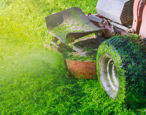 Professional lawn mowing service in Pambula