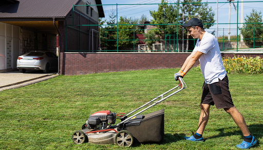 Seasonal garden clean-up on the Sapphire Coast