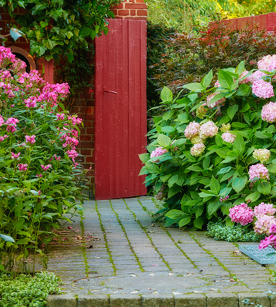 Maintained garden on the Sapphire Coast