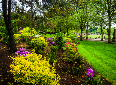 Maintained lawn and colourful garden in Merimbula
