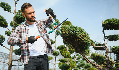 Gardener caring for a coastal garden