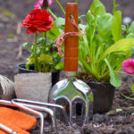 preparing your garden for summer blog img