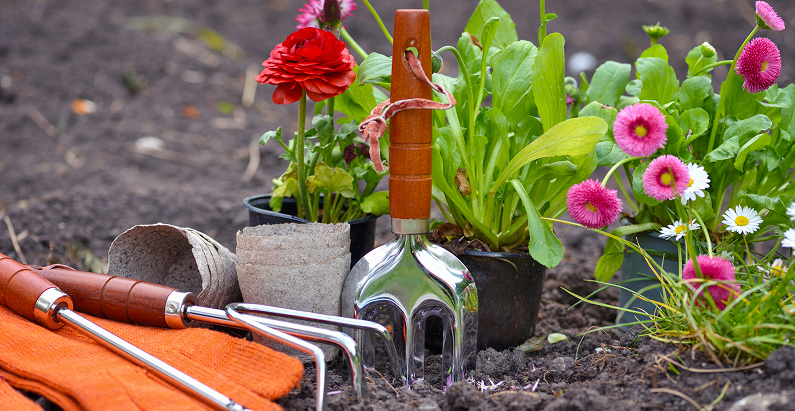 Preparing Your Garden for Summer: A Sapphire Coast Checklist