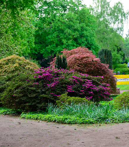 Residential garden care on the Sapphire Coast