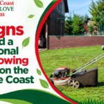 signs you need professional lawn mowing services