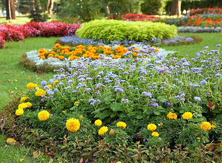 Maintained lawn and garden in Tathra