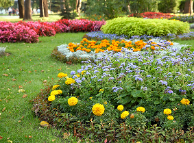 Gardener producing a clean lawn edge