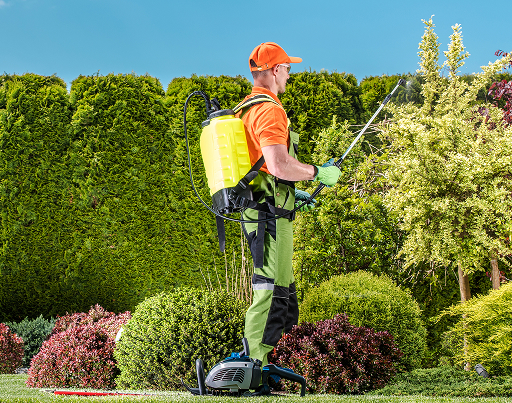 Professional lawn mowing in progress