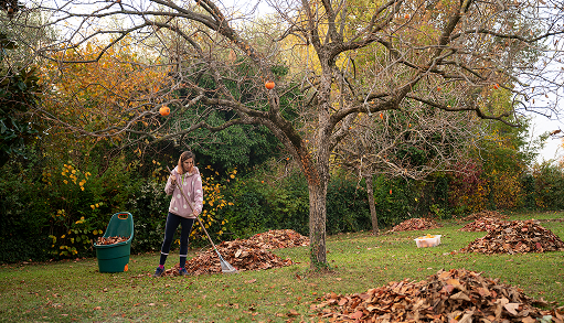 Green garden waste collected after a garden clean-up