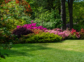 Garden looking neat after a clean-up