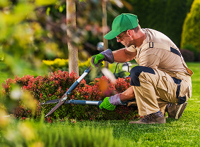 Tidy maintained garden after waste removal