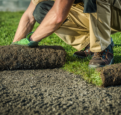 Lawn edging beside a garden path