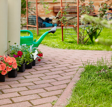 Plants and gardening equipment beside a maintained garden