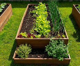 Healthy raised garden beds