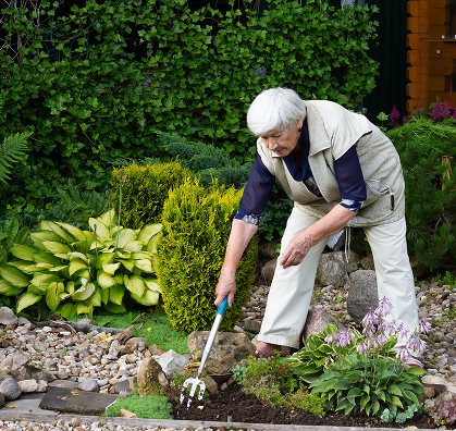 Regularly maintained residential garden