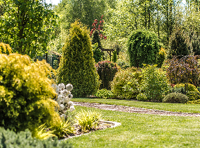 Neat garden maintained on a regular schedule